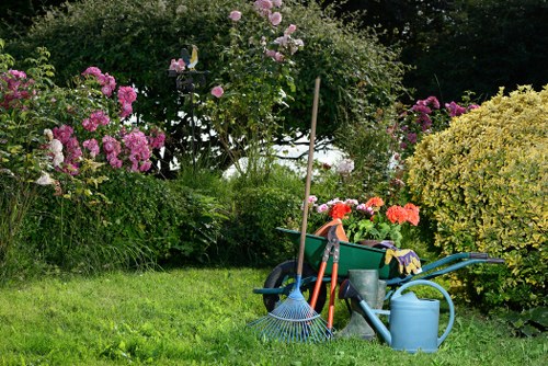 Eco-friendly lawn maintenance techniques
